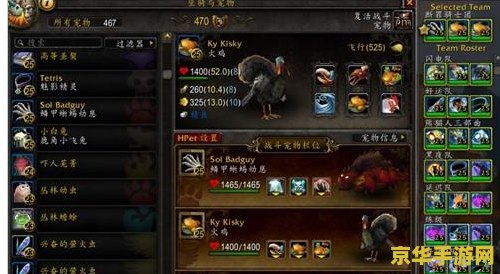 wow宠物大全 wow宠物大全