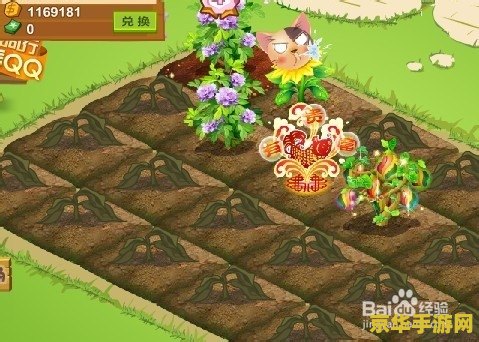 qq农场种什么赚钱最快 QQ农场种什么赚钱最快
