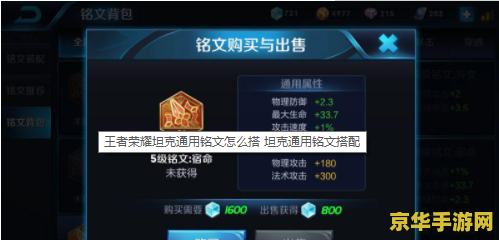 王者荣耀纯肉盾买什么铭文 王者荣耀纯肉盾铭文选择：守护与坚实的基石