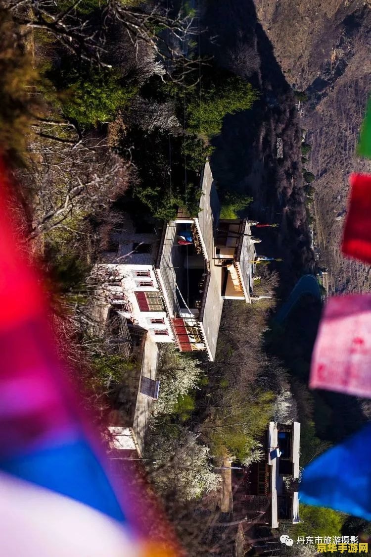 原神山中之路怎么过 原神山中之路怎么过