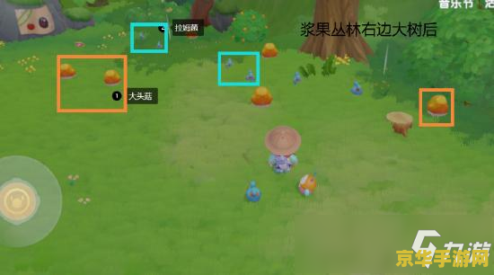 摩尔庄园毛毛菇怎么获得 &lt;h3&gt;摩尔庄园毛毛菇怎么获得&lt;/h3&gt;