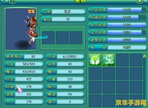 神武龙女技能 神武龙女：游戏中的强大存在
