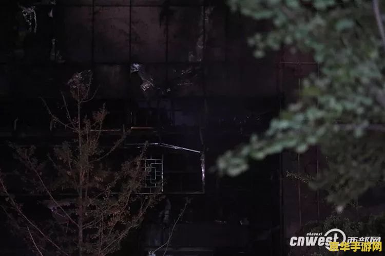 原神火之债务处理人图片 原神火之债务处理人图片