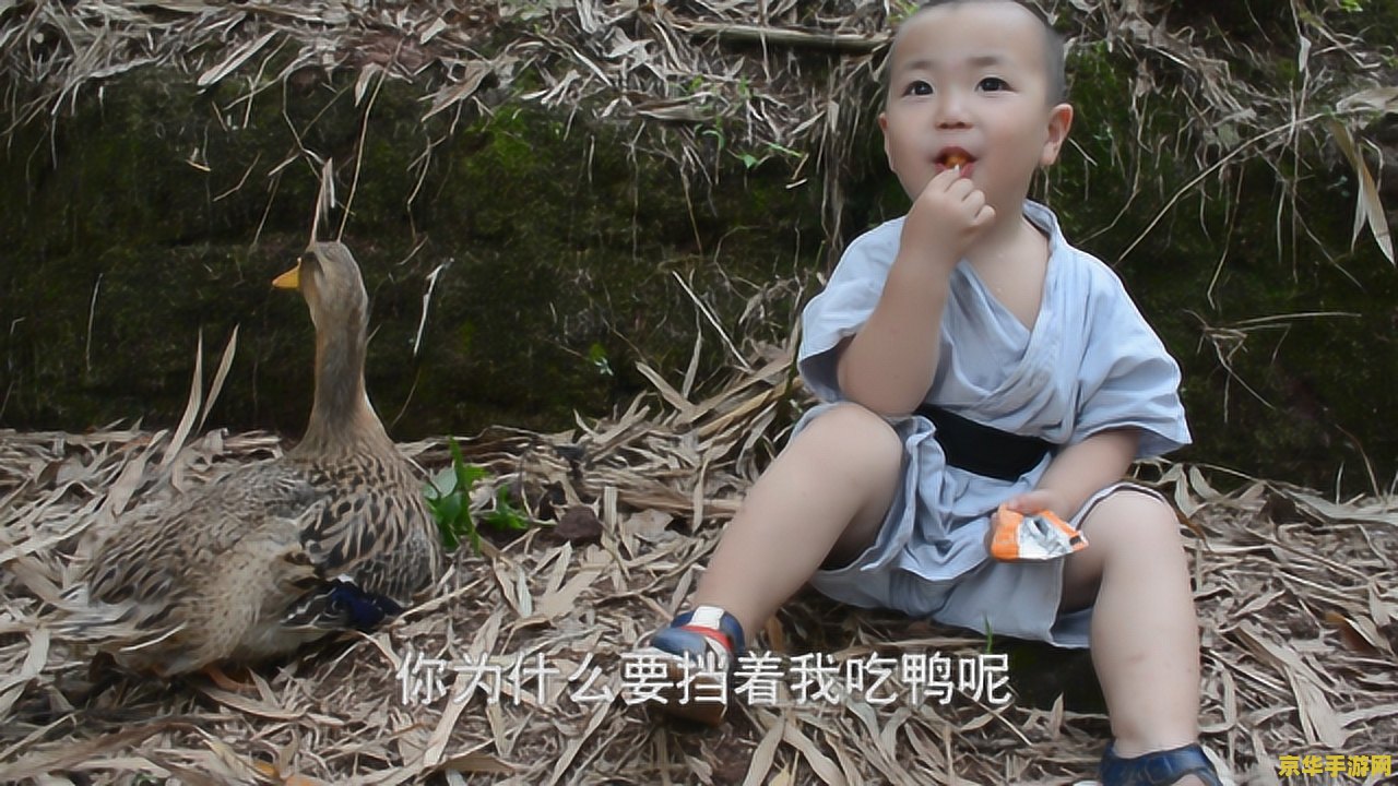原神喂鸭子不杀有后续 原神喂鸭子不杀有后续