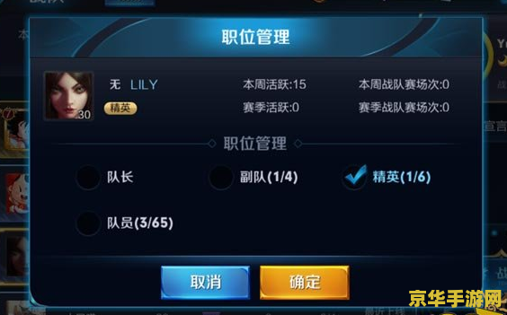 王者荣耀战队有什么职位 王者荣耀战队职位解析