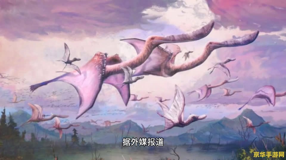 灵翼龙卵 灵翼龙卵：神秘孵化之旅