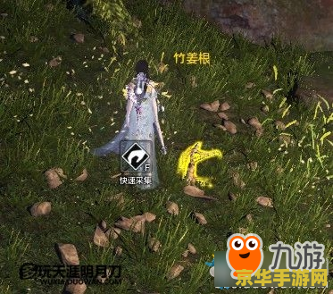 天涯明月刀航海图鉴 天涯明月刀航海图鉴