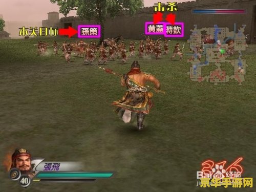 三国无双3秘籍 三国无双3秘籍：探索隐藏要素与高级技巧
