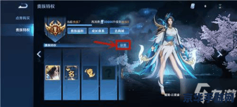 王者荣耀贵族五送什么皮肤 王者荣耀贵族五专属皮肤大揭秘