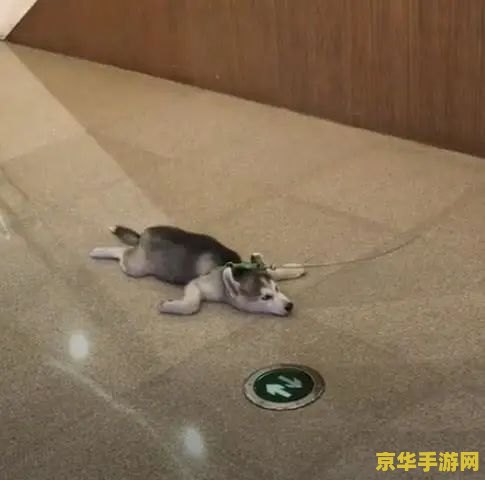召唤之夜x攻略 召唤之夜X：策略与战术的完美结合