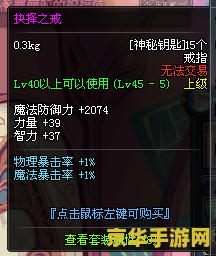 dnf神秘钥匙 DNF神秘钥匙：揭秘地下城的无尽宝藏