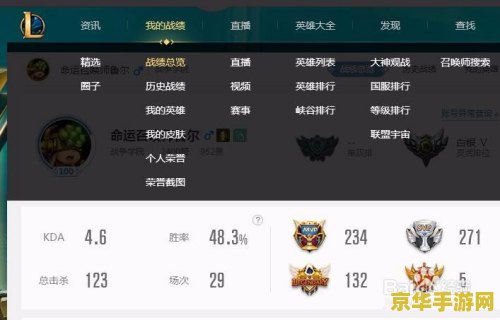 英雄联盟隐藏战绩怎么查 英雄联盟隐藏战绩查询方法