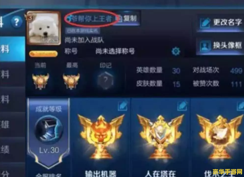 王者荣耀忘记什么区了 攻略如何找回王者荣耀的游戏大区？