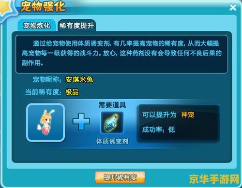 qq炫舞宠物名 qq炫舞宠物系统深度解析