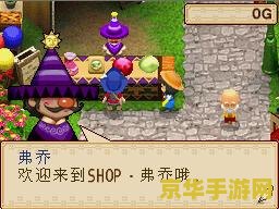 牧场物语风之集市 牧场物语：风之集市