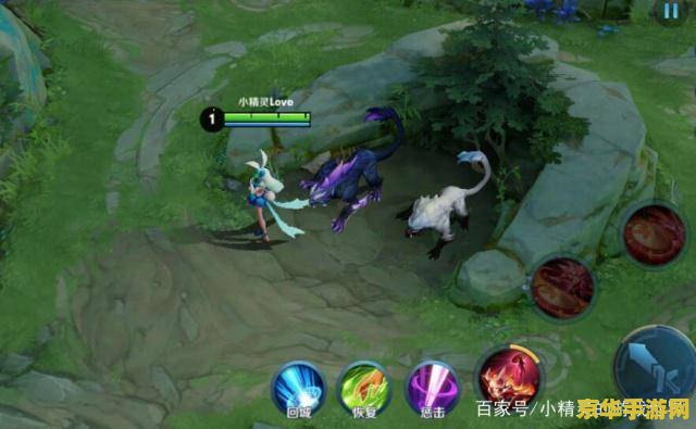 王者荣耀两个龙叫什么 王者荣耀游戏中的两条龙：暴君与主宰