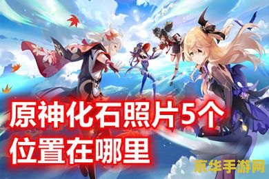 原神化石照片5个位置图片 原神化石照片5个位置图片