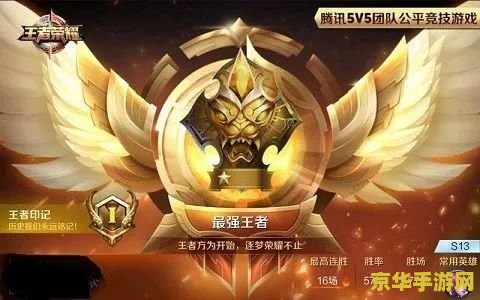 王者荣耀 蓝盾 什么 王者荣耀：蓝盾的奥秘与策略