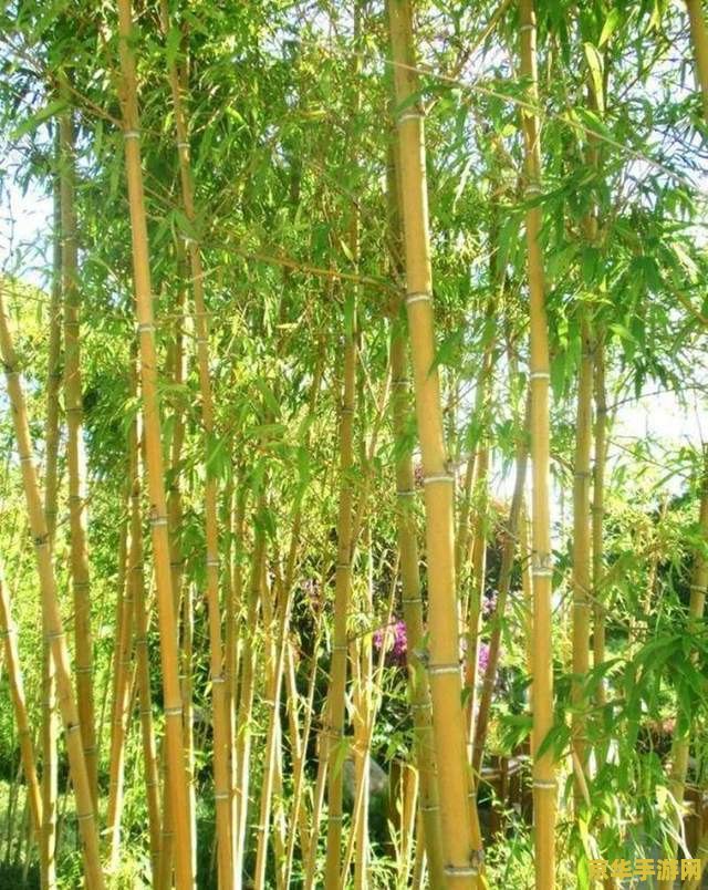 传说中的斑竹是怎样形成的 传说中的斑竹是怎样形成的