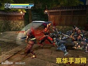 鬼武者 攻略 鬼武者：穿越时空的日本战国战斗