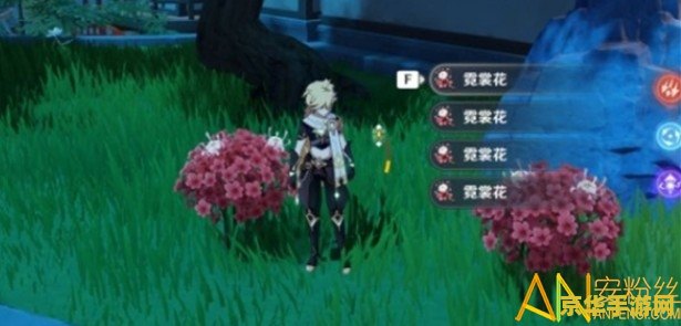原神火无相在哪里 原神火无相在哪里
