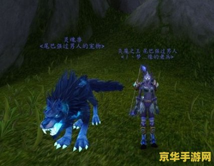 魔兽世界lr幻化 魔兽世界LR幻化猎人新幻化推荐，让你成为最靓的仔！