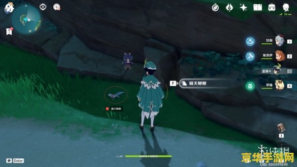 原神稻妻特色动物在哪里 原神稻妻特色动物在哪里