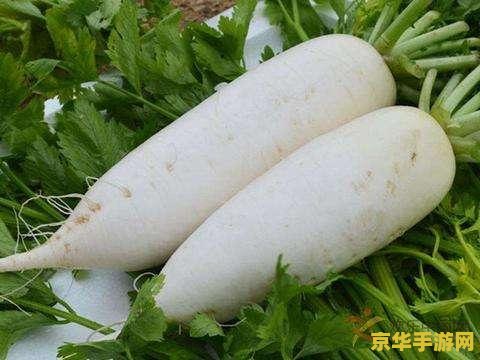 原神烹饪比赛白萝卜 原神烹饪比赛白萝卜