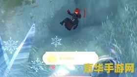 原神大雪野猪王怎么打 原神大雪野猪王打法攻略 原神大雪野猪王怎么打 原神大雪野猪王打法攻略