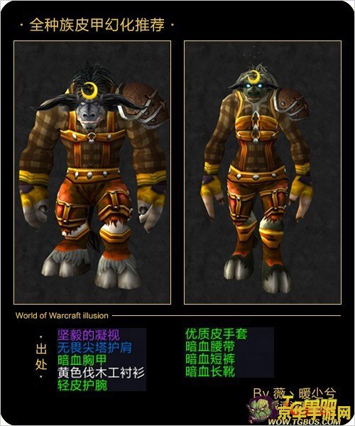 魔兽世界皮甲幻化 魔兽世界皮甲幻化：华丽的外观与深度的定制