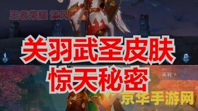 王者荣耀最贵的是什么意思是什么意思 王者荣耀最贵的是什么意思是什么意思