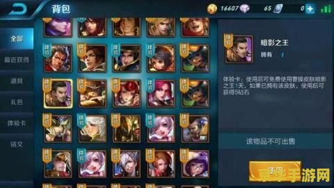 王者荣耀最贵的是什么意思是什么意思是什么 王者荣耀最贵的是什么意思