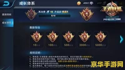 王者荣耀最贵的是什么意思是什么意思是什么 王者荣耀最贵的是什么意思