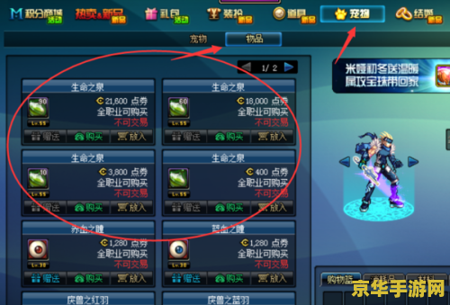dnf生命之泉 生命之泉：DNF中的神秘力量