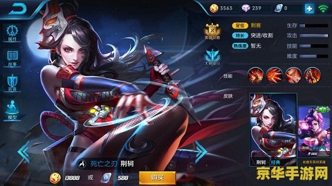 王者荣耀刺客干什么 王者荣耀刺客：暗夜的舞者