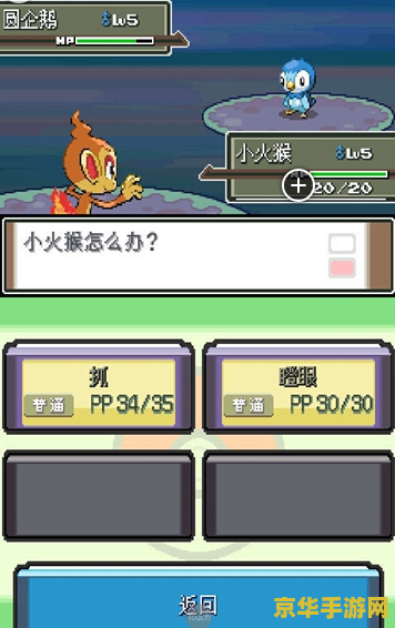 口袋妖怪白金版攻略 口袋妖怪白金版：无尽的冒险与探索