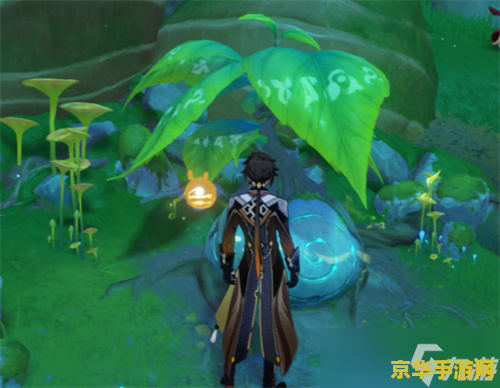 原神劫波莲哪里采 原神劫波莲哪里采 原神劫波莲哪里采 原神劫波莲哪里采