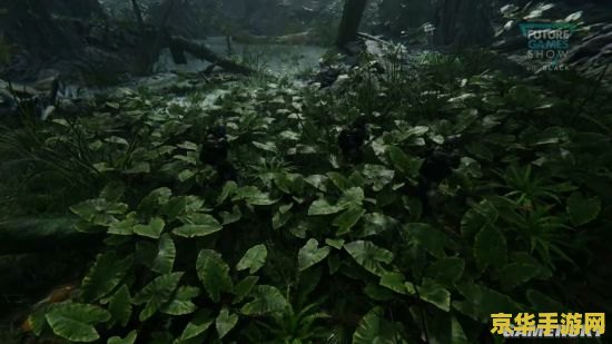 原神拍照怎么授权 原神拍照怎么授权：探索游戏内摄影功能的授权流程