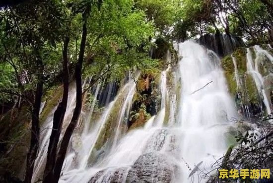 原神危危岛上的山怎么上去 原神危危岛上的山怎么上去