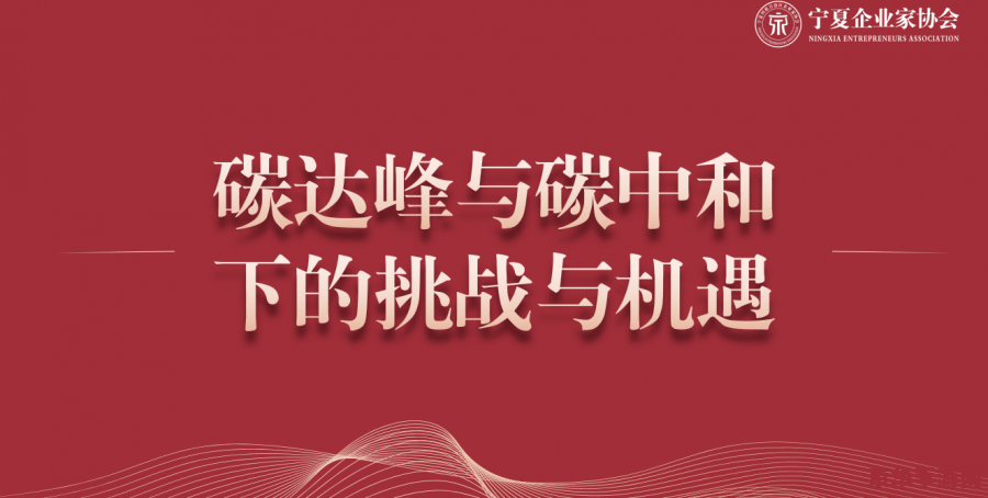 斗战神中级取经 斗战神中级取经：挑战与机遇的交织之旅