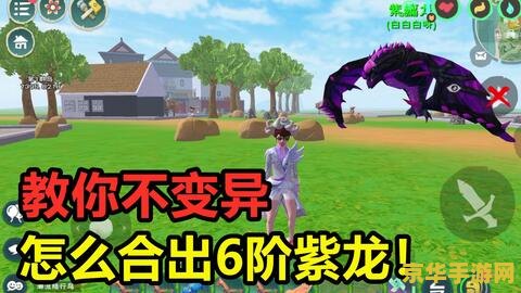 创造与魔法顽皮蝾螈饲料 创造与魔法顽皮蝾螈饲料
