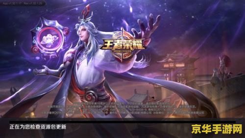 王者荣耀双开用什么意思 王者荣耀双开用什么意思