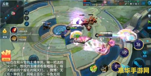 王者荣耀双开用什么意思 王者荣耀双开用什么意思
