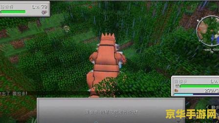 神奇宝贝bw116 神奇宝贝BW116：挑战！四天王杯赛