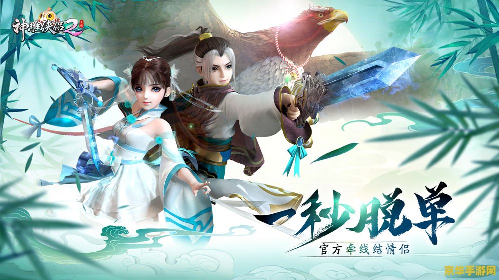 新神雕侠侣2 游戏名称：新神雕侠侣2