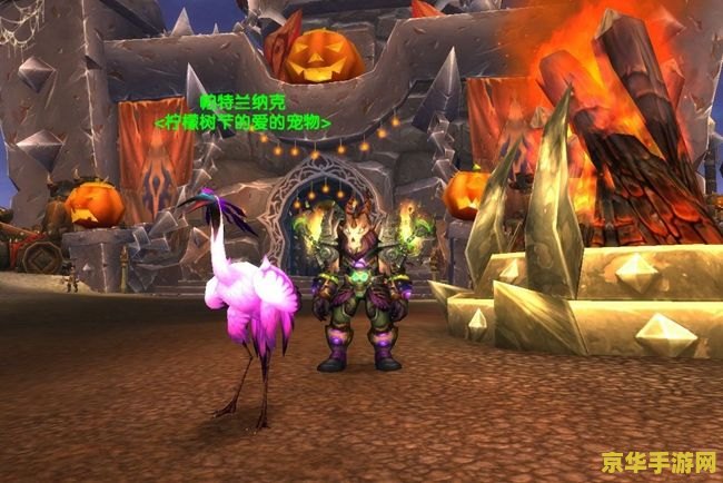wow稀有宠物 wow稀有宠物- 探索魔兽世界中的珍稀宠物收集之旅