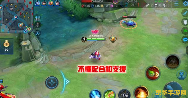 为什么要代打王者荣耀 王者荣耀代打：背后的原因与影响
