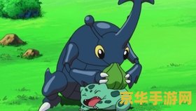 神奇宝贝bw116 神奇宝贝BW116：挑战！海洋之谜