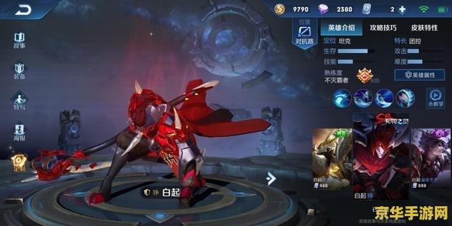 冰心王者荣耀是什么意思 冰心王者荣耀：游戏中的策略与技巧