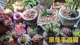 原神雪山山顶柱子怎么激活 &lt;h3&gt;原神雪山山顶柱子的激活方法&lt;/h3&gt;